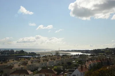 DSC_7244 (Large).JPG